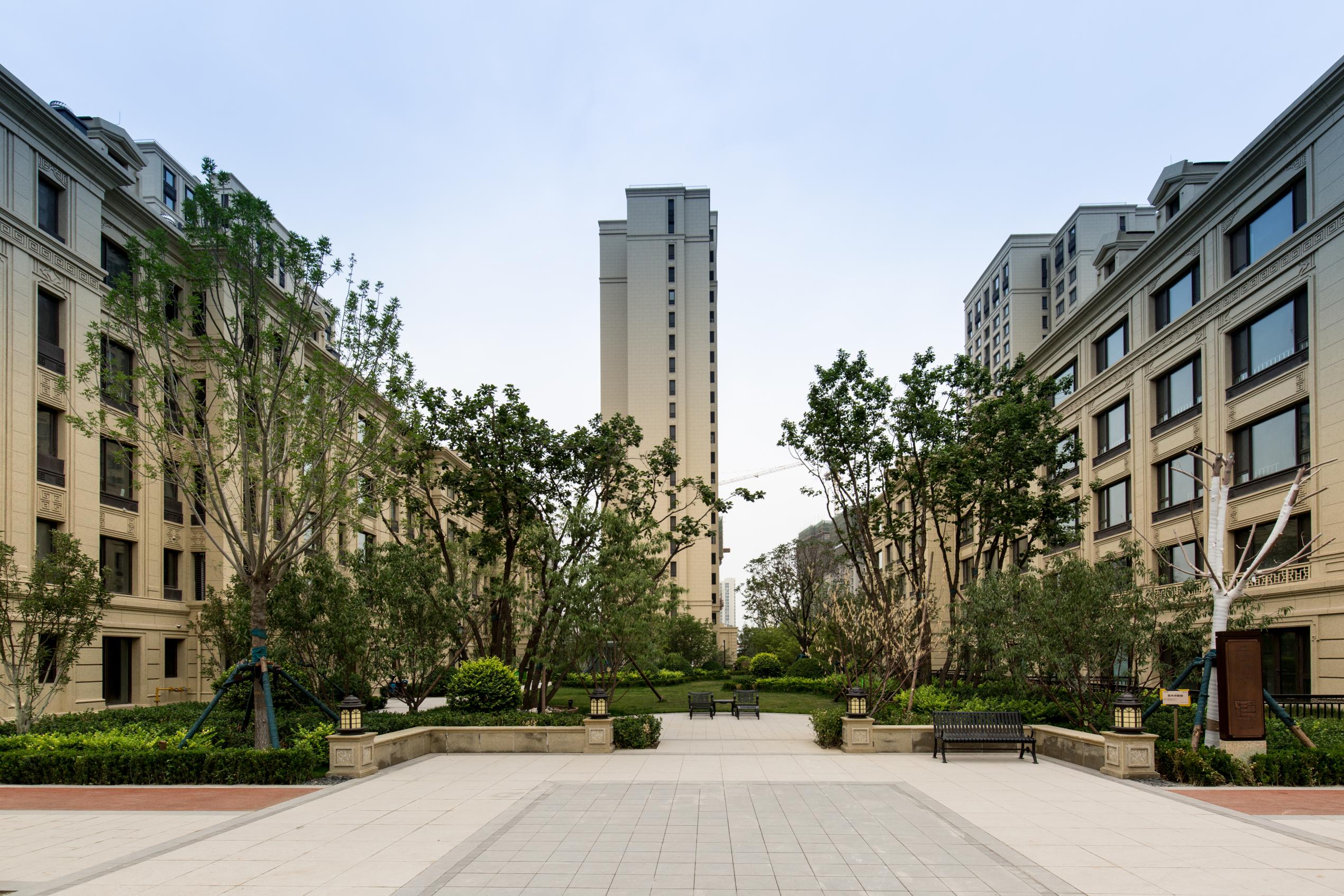 1603702108752753.jpg 图片1.jpg