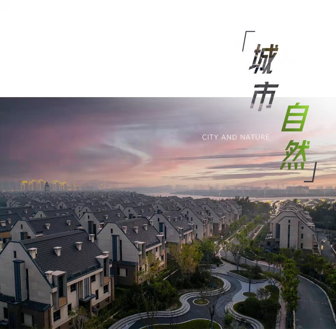 乐鱼·体育·乐鱼官方网站-乐鱼（中国）设计